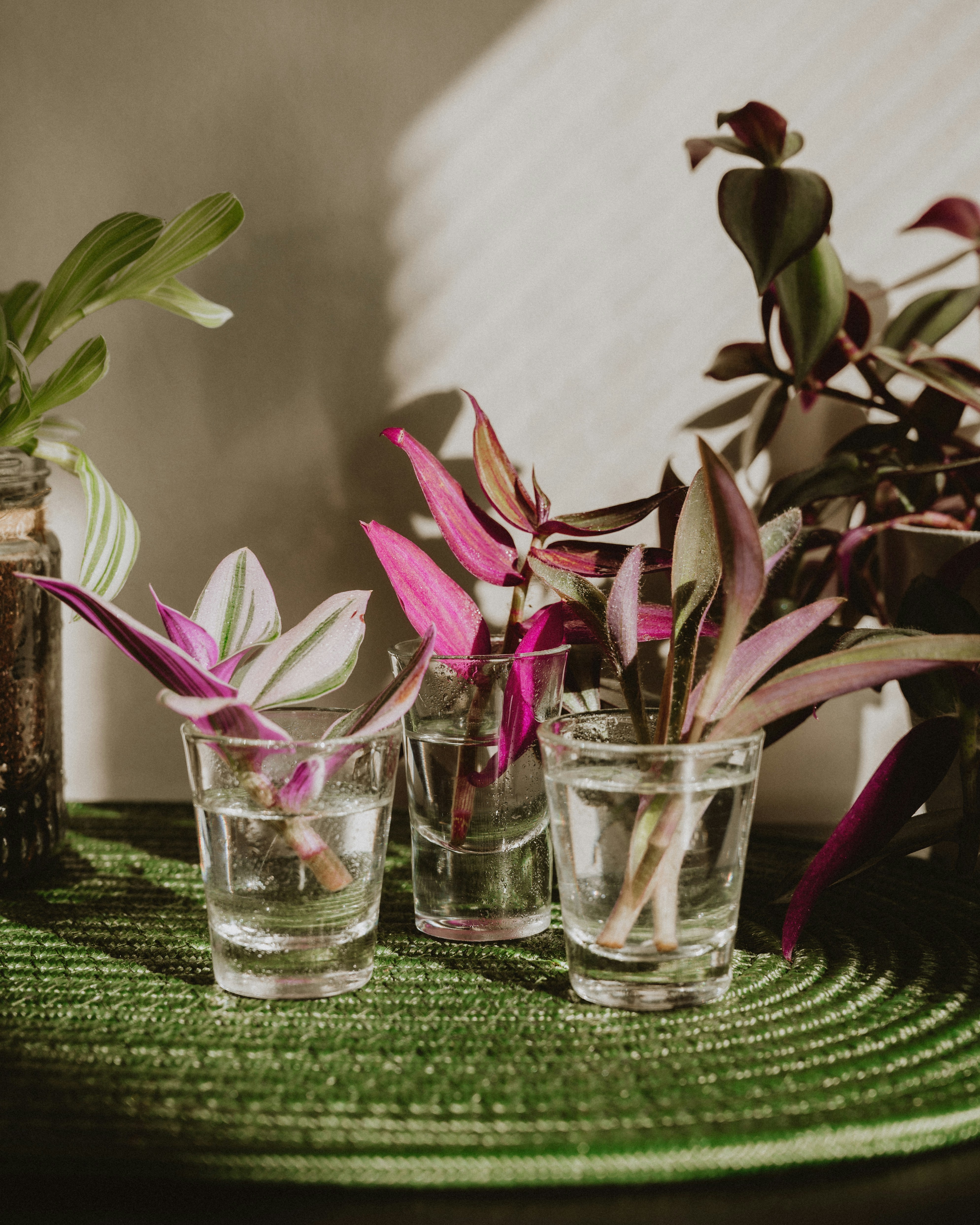 Taking Stock - Curating What Remains & Propagating What’s Next